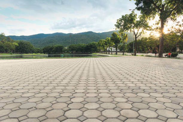 Best Driveway Pavers Near Me  in Rayre, MO